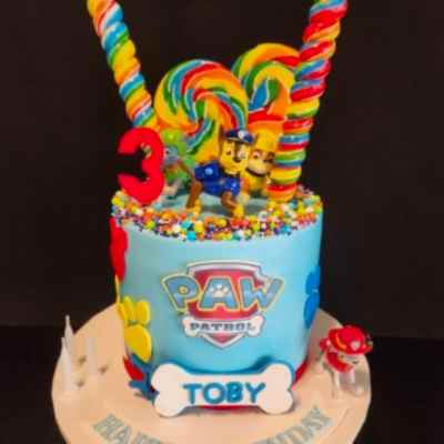 Childrens Birthday Cakes 41